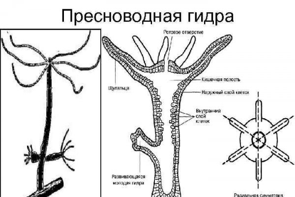 Купон кракен даркнет